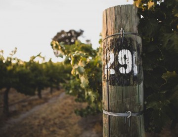 840x650 paso robales 1