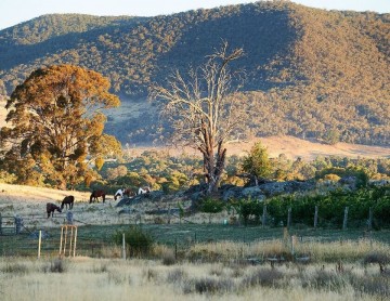 840x650 tumbarumba