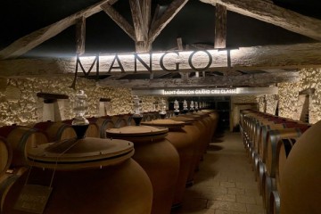 Mangot 3